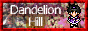 dandelion hill